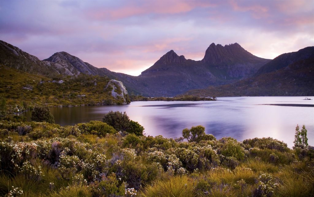 Feel Alive In The Pristine Environment of Tasmania! - Country Holidays Inn and Suites